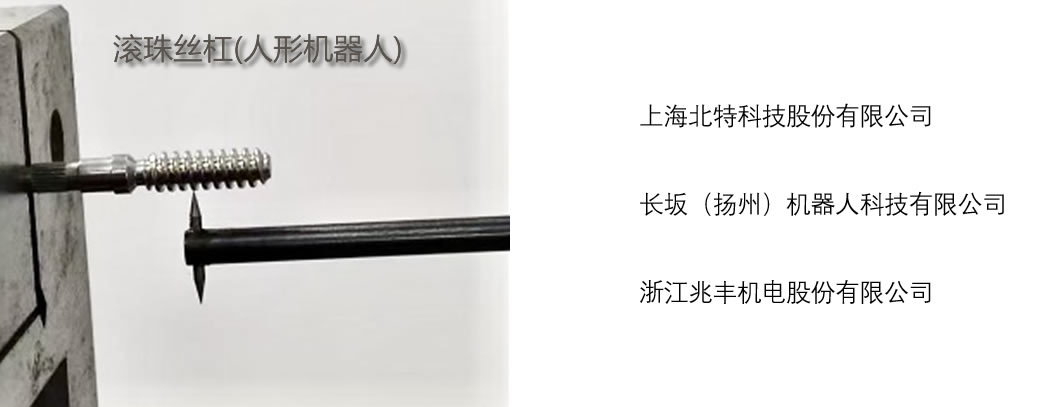 滚珠丝杠(人形机器人)